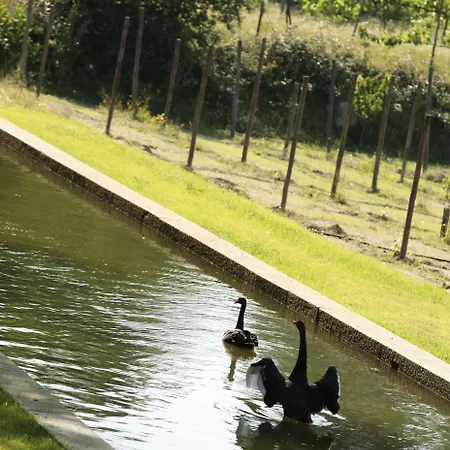 Casa De Juste - Lousada Hotel Torno