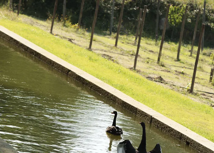 Casa De Juste - Lousada Szálloda Torno